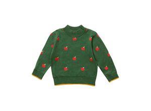5056630608913 - - Strickpullover ANOTHER APPLE in green Gr110