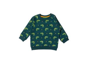 5056630624753 - - Sweatshirt LITTLE LIZARD in grün Gr86