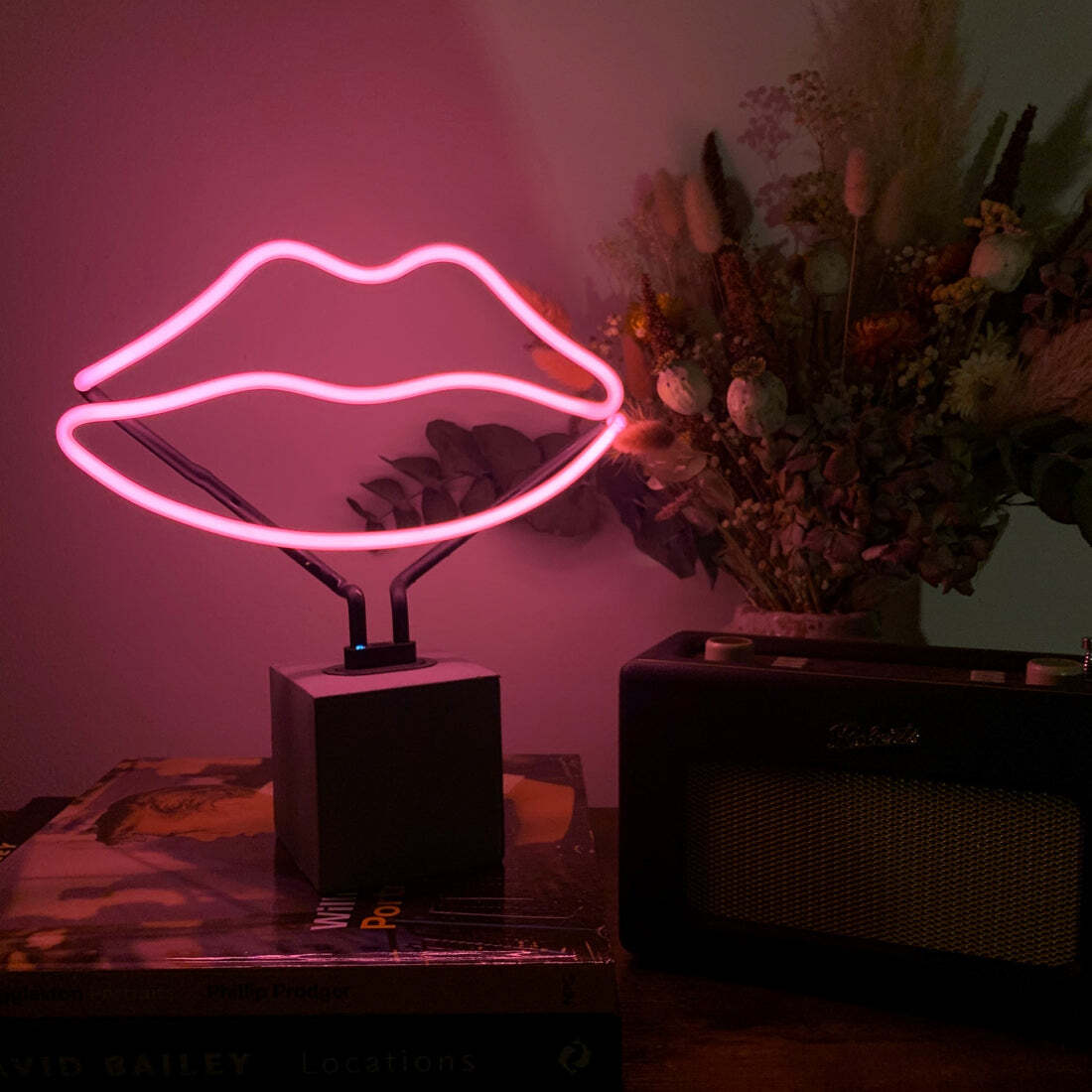 5060081504601 - Neonlampe mit Sockel Lips