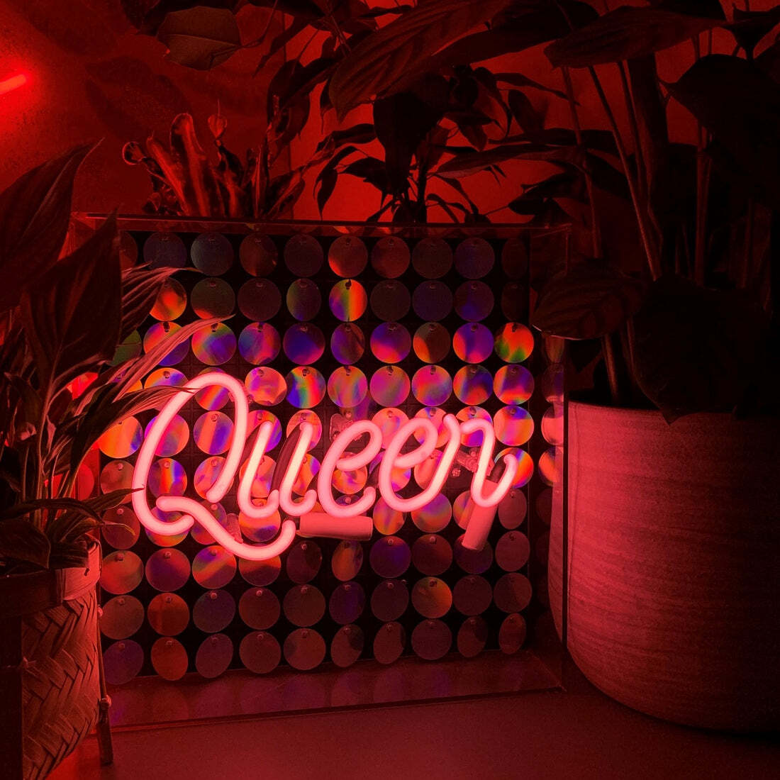 5060081505882 - Neon-Leuchtschrift Queen