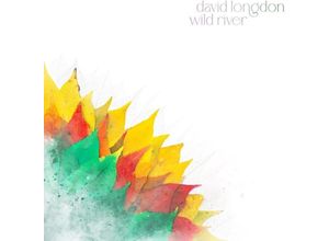 5060164400745 - Wild River (GatefoldYellow & Green Vinyl) - David Longdon (LP)