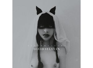 5060238638289 - Sleepwalkers (Remastered 180g 2lp+Poster Gf) - David Sylvian (LP)