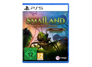 5060264379217 - Smalland Survive the Wilds