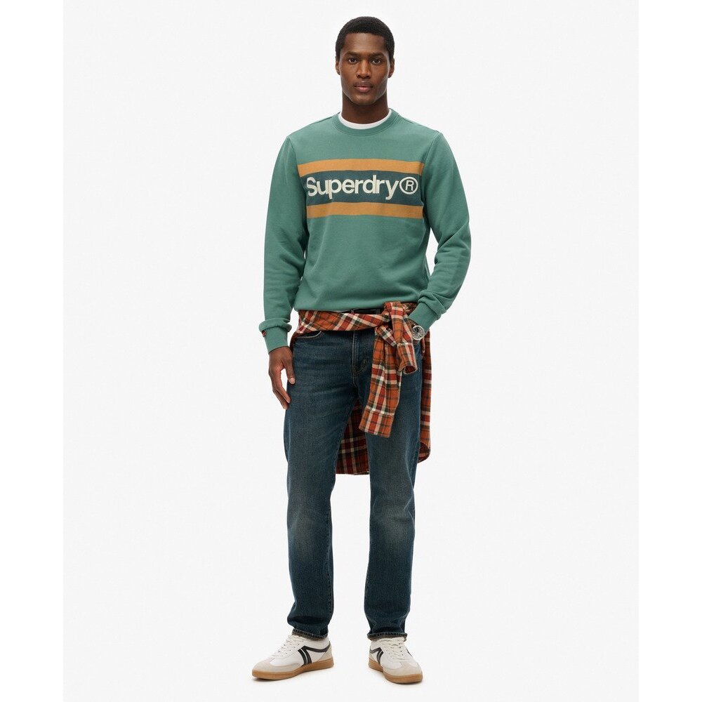 5063068582500 - Gestreifter Freizeitpullover Core Logo