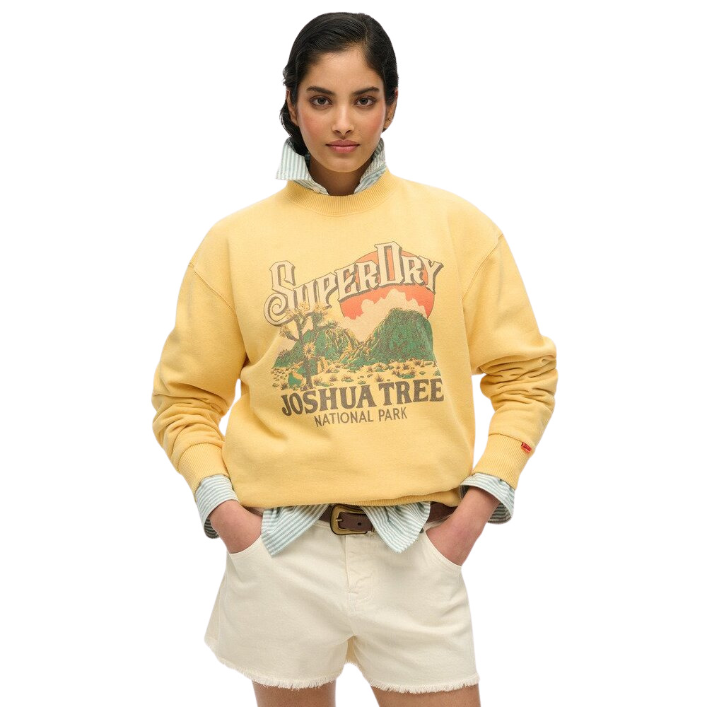 5063068652104 - Weites Damen-Sweatshirt mit Muster Souvenir