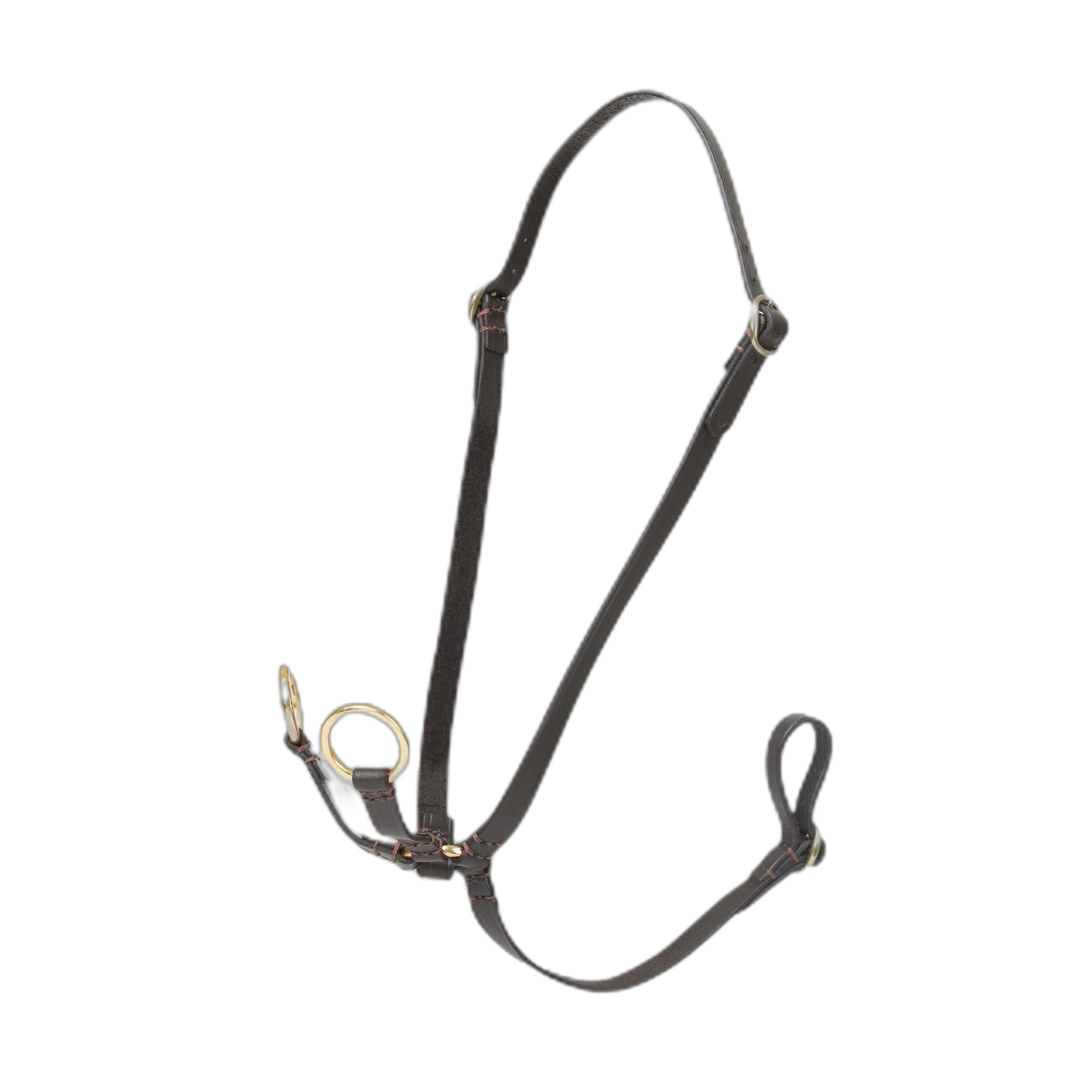5063240077510 - Martingal mit Ringen für Hobby Horse LeMieux 5063240077510 - Martingal mit Ringen für Hobby Horse LeMieux