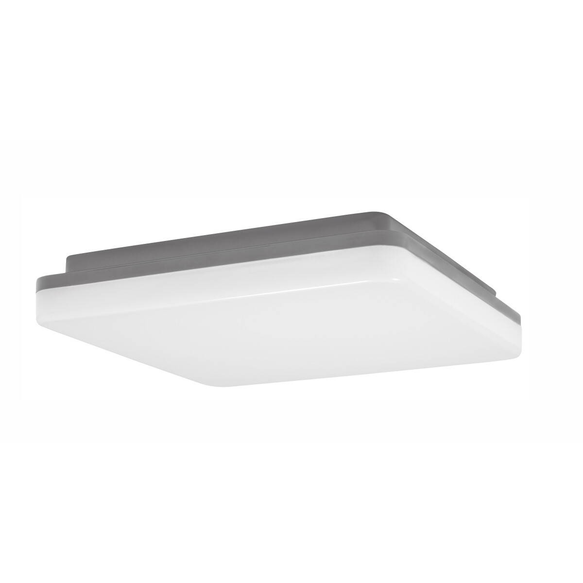 5212017417381 - Led Deckenleuchte Tommy in Dunkelgrau 24W 1920lm IP54 - grey - Nova Luce