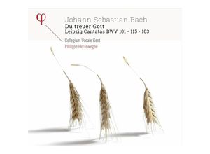 5400439000278 - Kantaten Bwv 101103 & 115 - Mields Guillon Herreweghe Collegium Vocale Gent (CD)