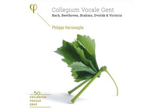 5400439000339 - Collegium Vocale Gent 50th Anniversary - Philippe Herreweghe Collegium Vocale Gent (CD)