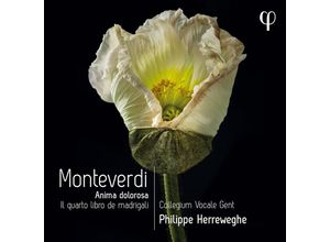 5400439000377 - Il Quarto Libro De Madrigali - Philippe Herreweghe Collegium Vocale Gent (CD)