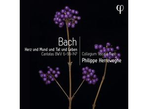 5400439000414 - Herz Und Mund Und Tat Und Leben - Kantaten - Philippe Herreweghe Collegium Vocale Gent (CD)