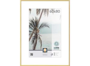 5400458660668 - Xxxl Bilderrahmen Kyoto  Gold  Kunststoff Glas  rechteckig  811x611 cm  Bilder und Zubehör Bilderrahmen Bilderrahmen Kunststoff