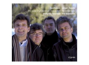 5412217016531 - The Pulse Of An Irishman-Lieder Von De - Trio Wanderer Holzmair (CD)