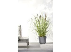 5413724318064 - Ecopots Pflanztopf Oslo Ø 25 x 218 cm grau