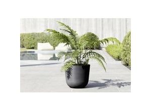 5413724318132 - Ecopots Pflanztopf Oslo Ø 35 x 305 cm dunkelgrau