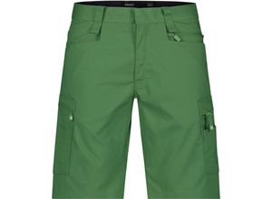 5414729210940 - Zion Arbeitsshorts ULMENGRÜN 44 250g - ULMENGRÜN