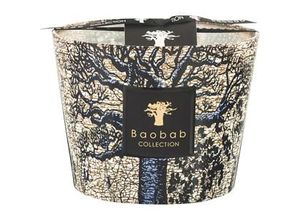 5415198504806 - Baobab Collection Sacred Trees Kerze Seguela Max 16