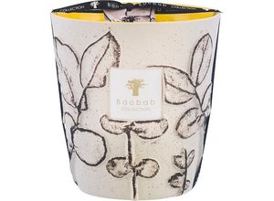 5415198519060 - Baobab Home Scented-CandlesDuftkerze Folia Calanque Max 16 2050 g (6341 €   1 kg) 5415198519060 - Baobab Home Scented-CandlesDuftkerze Folia Calanque Max 16 2050 g (6341 €   1 kg)