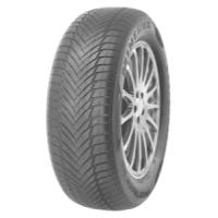 5420068609093 - Frostrack HP (205 55 R16 91H)