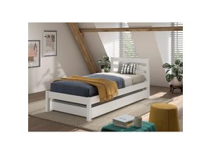 5420070246590 - Einzelbett Pino 90x200 cm mit Lattenrost inkl Bettschublade weiß lackiert 5420070246590 - Einzelbett Pino 90x200 cm mit Lattenrost inkl Bettschublade weiß lackiert
