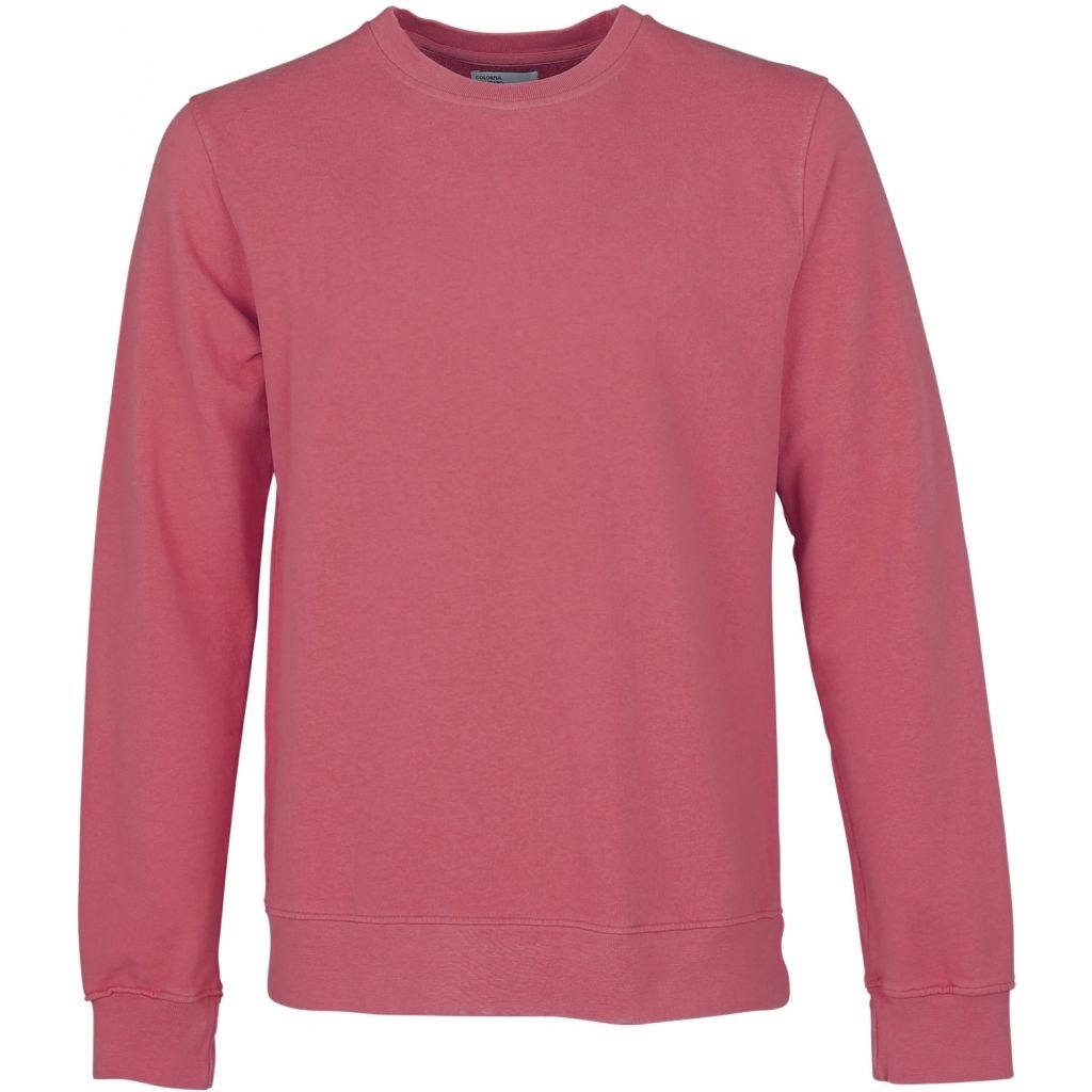 5600493182952 - Sweatshirt mit Rundhalsausschnitt Classic Organic raspberry pink