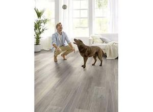 5602190132827 - Decolife Vinyl Fertigboden 122 x 185 cm 105 mm Oiled Blossom Oak