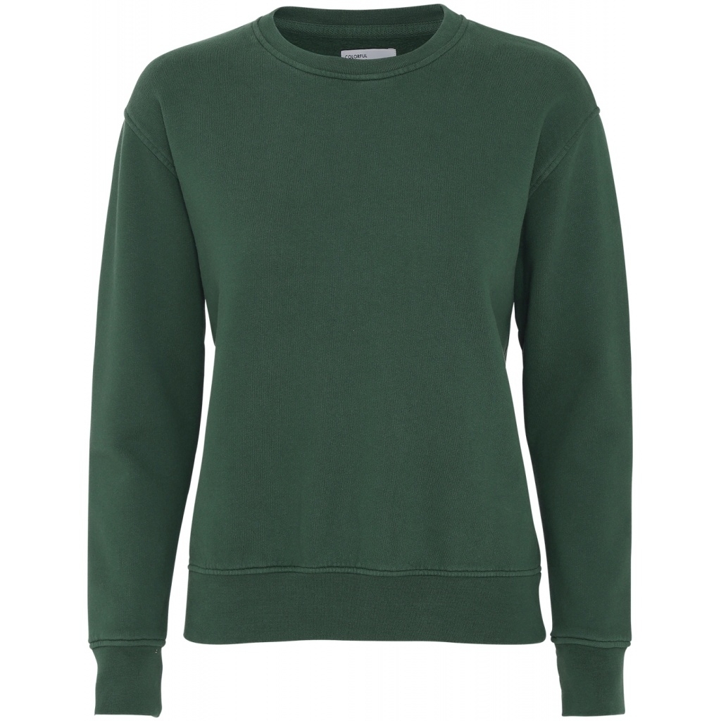 5602991000271 - Pullover mit Rundhalsausschnitt Frau Classic Organic emerald green