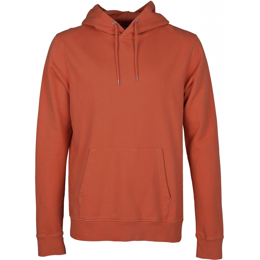 5602991029319 - Hoodie Classic Organic dark amber