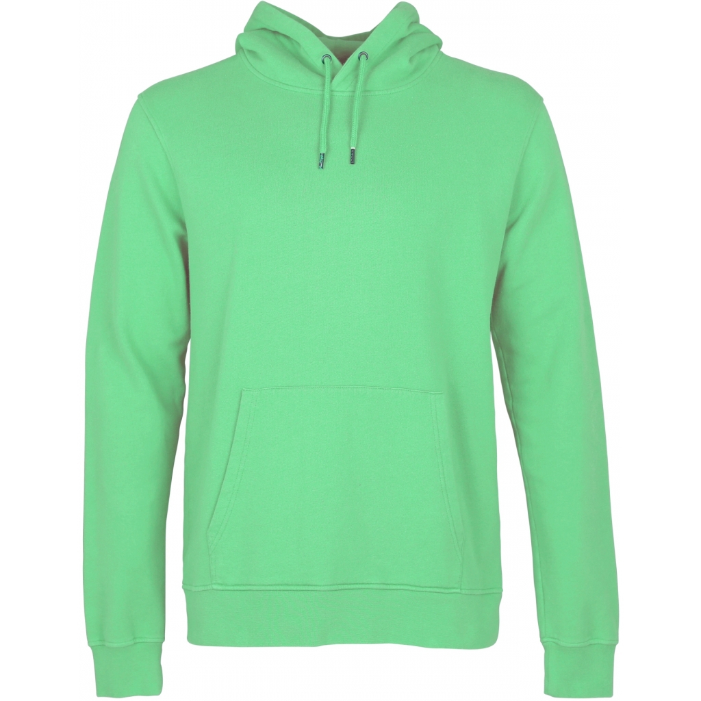 5602991029586 - Hoodie Classic Organic spring green