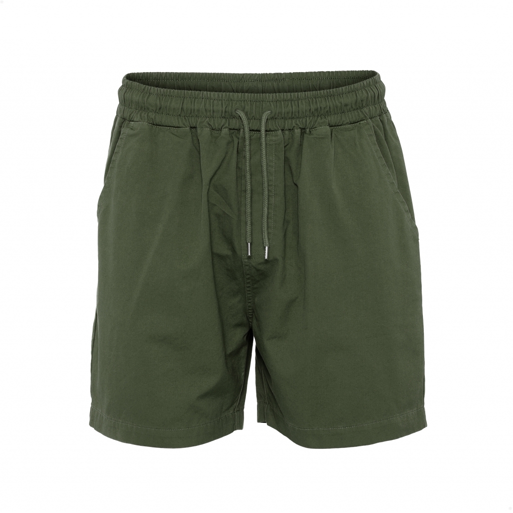 5602991037932 - Twill-Shorts Organic seaweed green