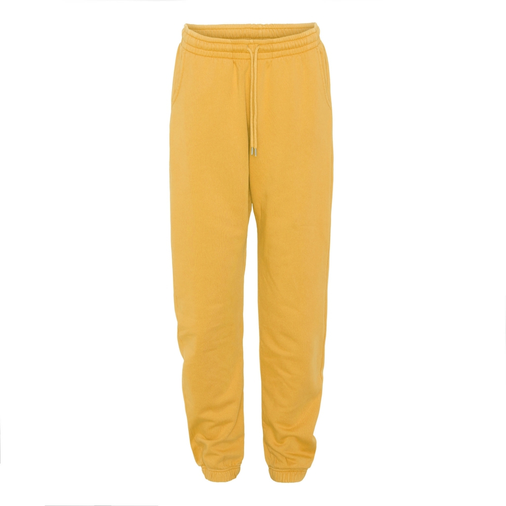 5602991049294 - Jogginghose Organic burned yellow