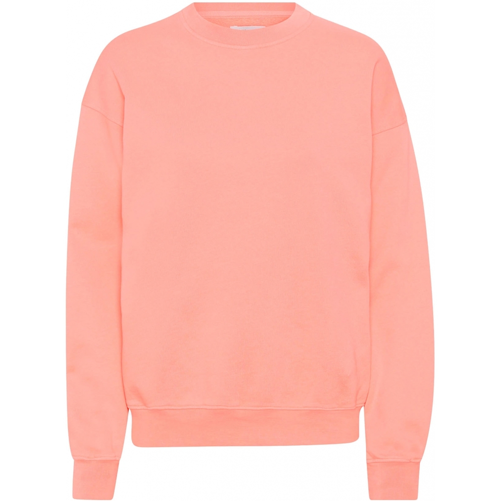 5602991058142 - Sweatshirt mit Rundhalsausschnitt Organic oversized bright coral