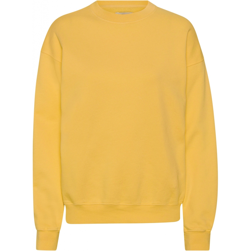 5602991058296 - Sweatshirt mit Rundhalsausschnitt Organic oversized burned yellow