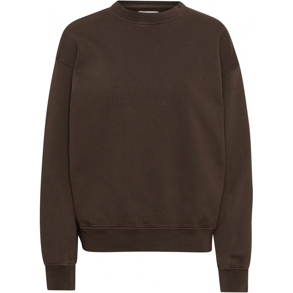 5602991058340 - Sweatshirt mit Rundhalsausschnitt Organic oversized coffee brown