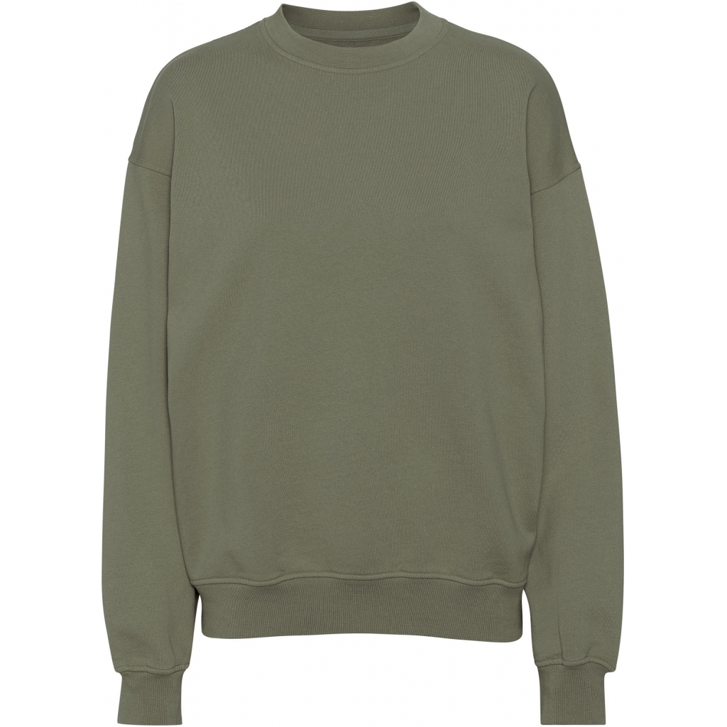 5602991058579 - Sweatshirt mit Rundhalsausschnitt Organic oversized dusty olive