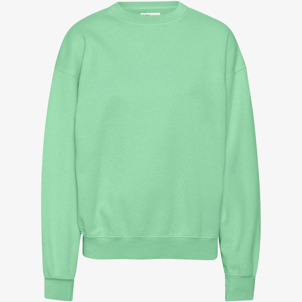 5602991058647 - Sweatshirt mit Rundhalsausschnitt Organic oversized faded mint