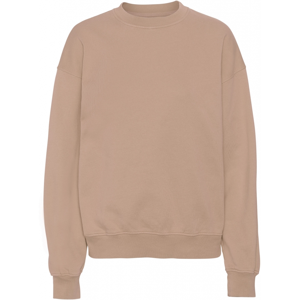 5602991058869 - Sweatshirt mit Rundhalsausschnitt Organic oversized honey beige