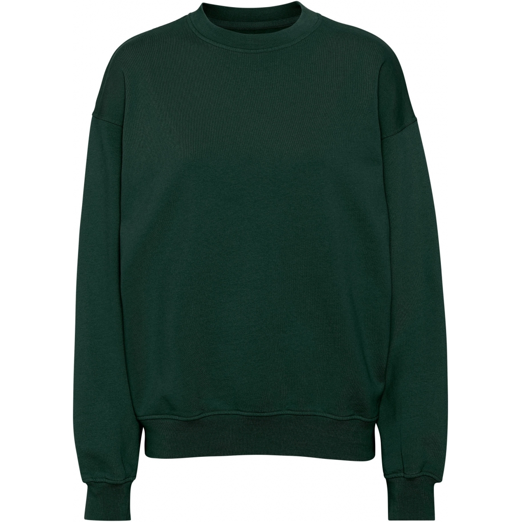 5602991058890 - Sweatshirt mit Rundhalsausschnitt Organic oversized hunter green