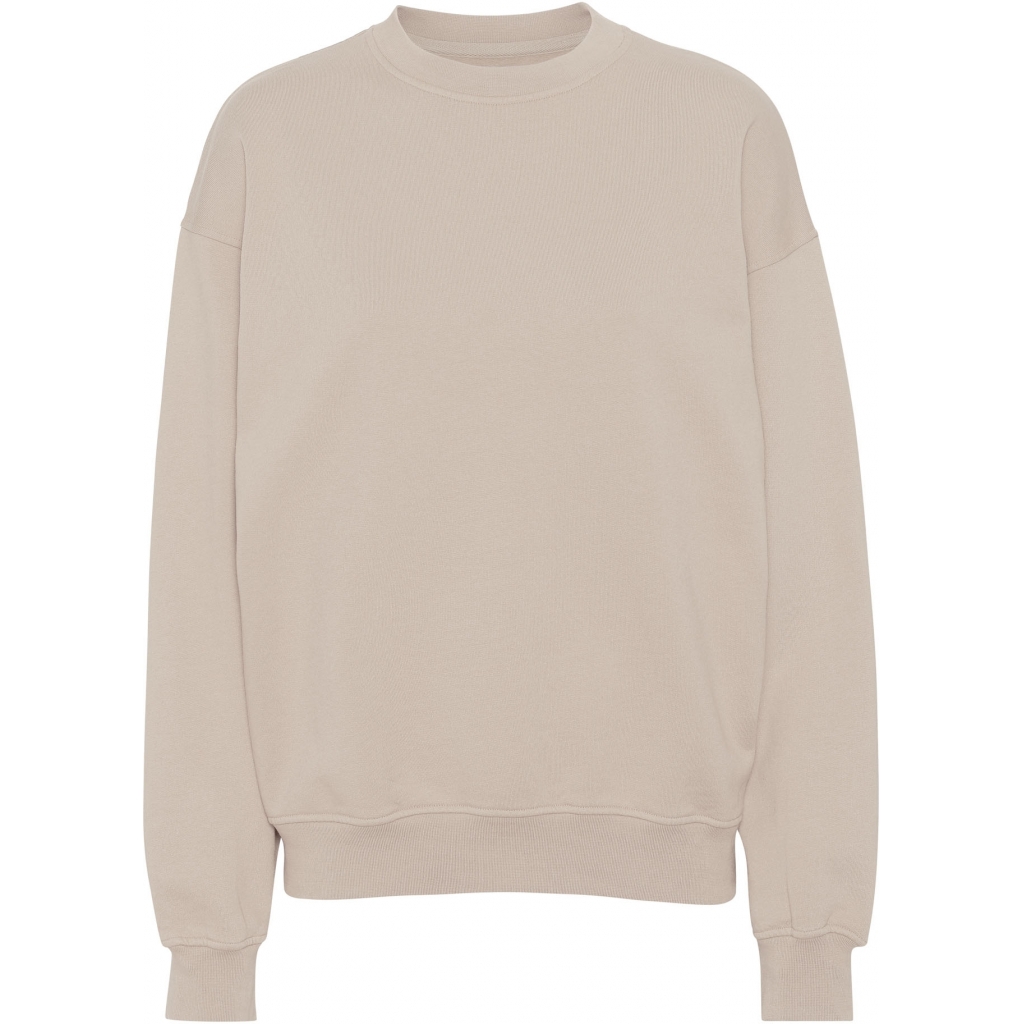 5602991058937 - Sweatshirt mit Rundhalsausschnitt Organic oversized ivory white