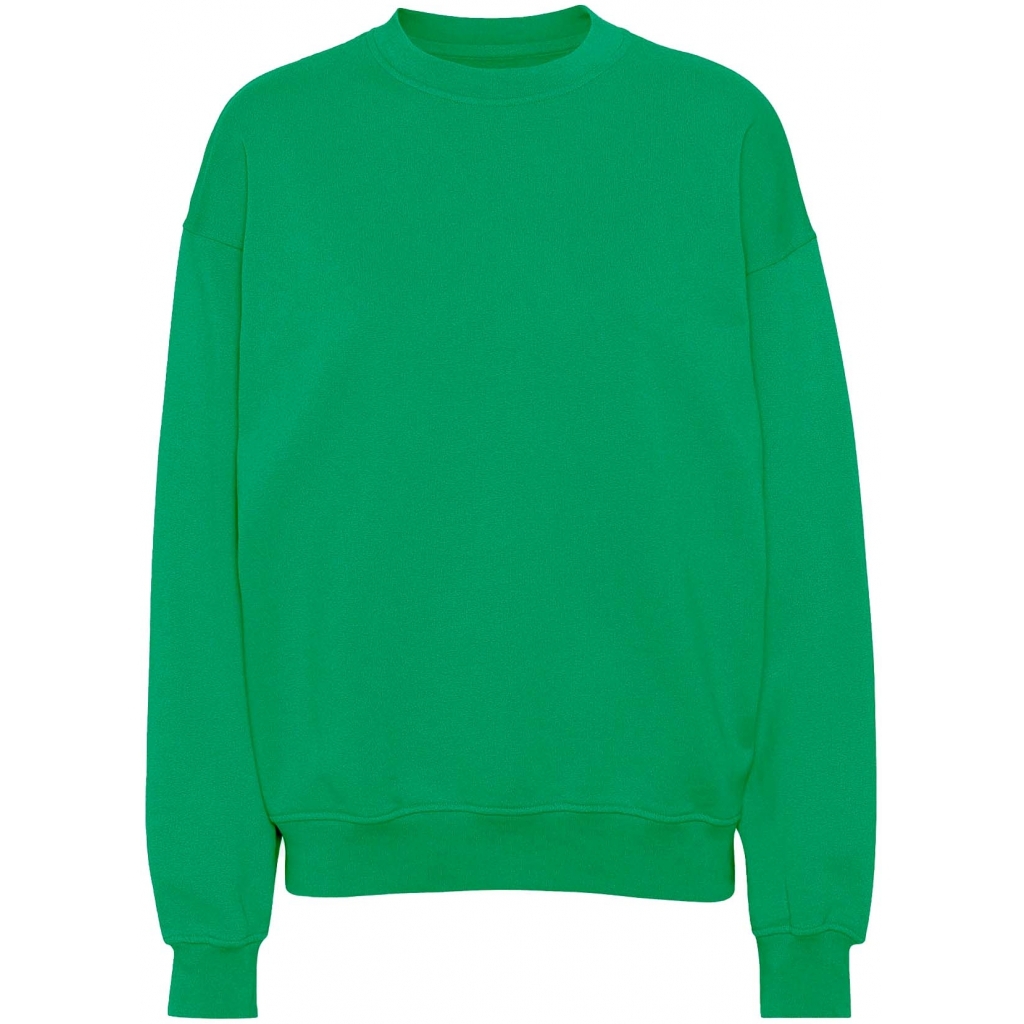 5602991058999 - Sweatshirt mit Rundhalsausschnitt Organic oversized kelly green