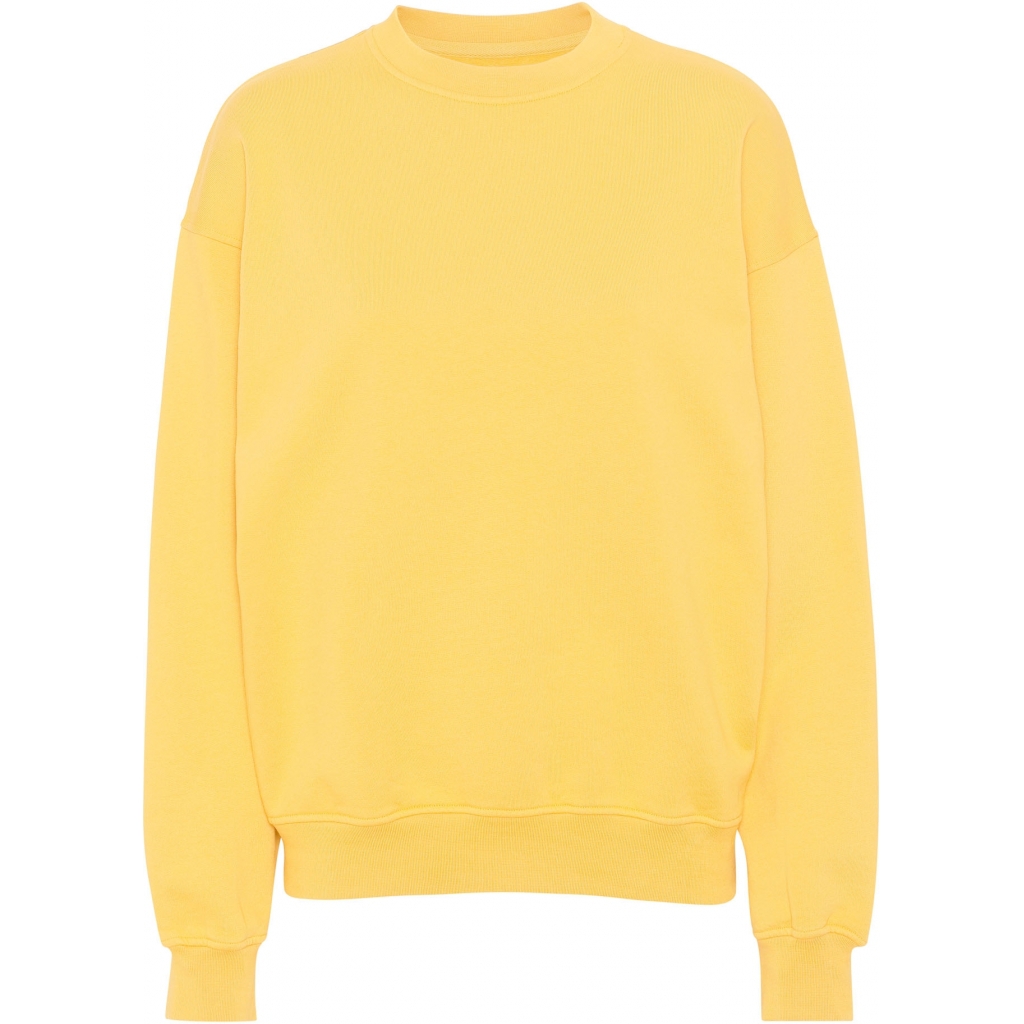 5602991059095 - Sweatshirt mit Rundhalsausschnitt Organic oversized lemon yellow