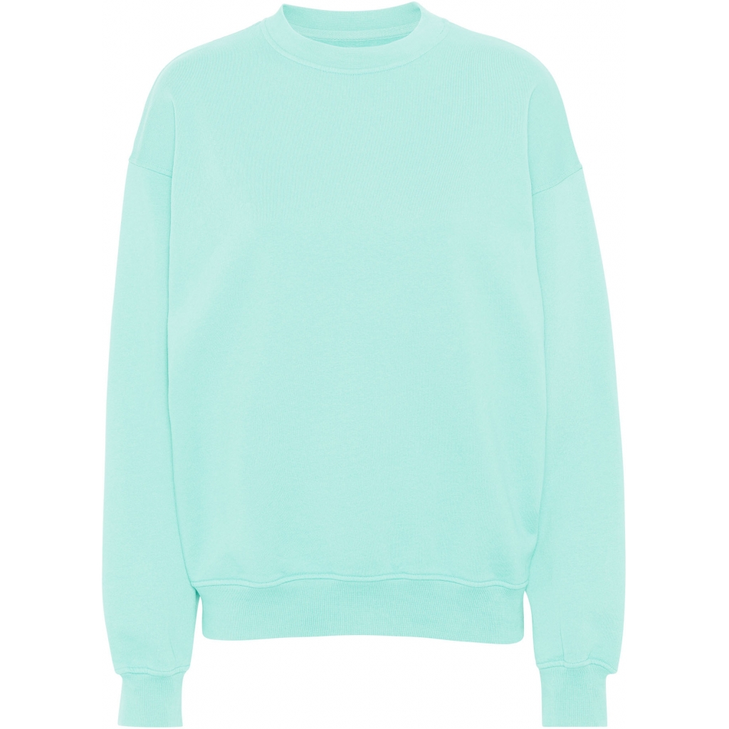 5602991059156 - Sweatshirt mit Rundhalsausschnitt Organic oversized light aqua