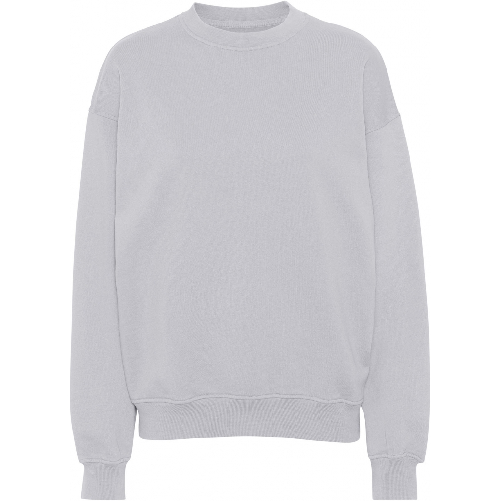 5602991059187 - Sweatshirt mit Rundhalsausschnitt Organic oversized limestone grey