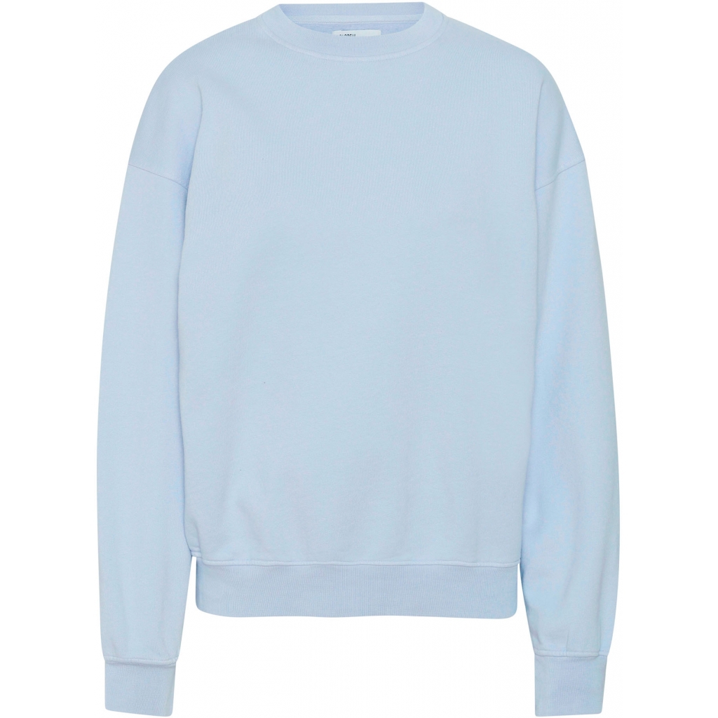 5602991059590 - Sweatshirt mit Rundhalsausschnitt Organic oversized polar blue