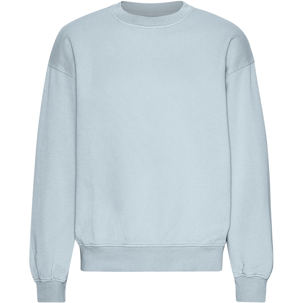 5602991059651 - Sweatshirt mit Rundhalsausschnitt in Oversize-Optik Organic Powder Blue