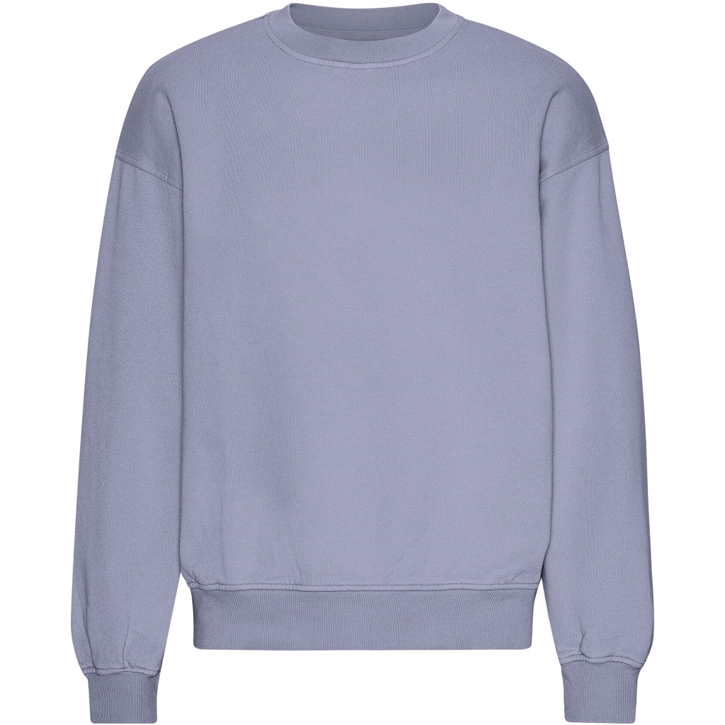 5602991059712 - Sweatshirt mit Rundhalsausschnitt in Oversize-Optik Organic Purple Jade 5602991059712 - Sweatshirt mit Rundhalsausschnitt in Oversize-Optik Organic Purple Jade