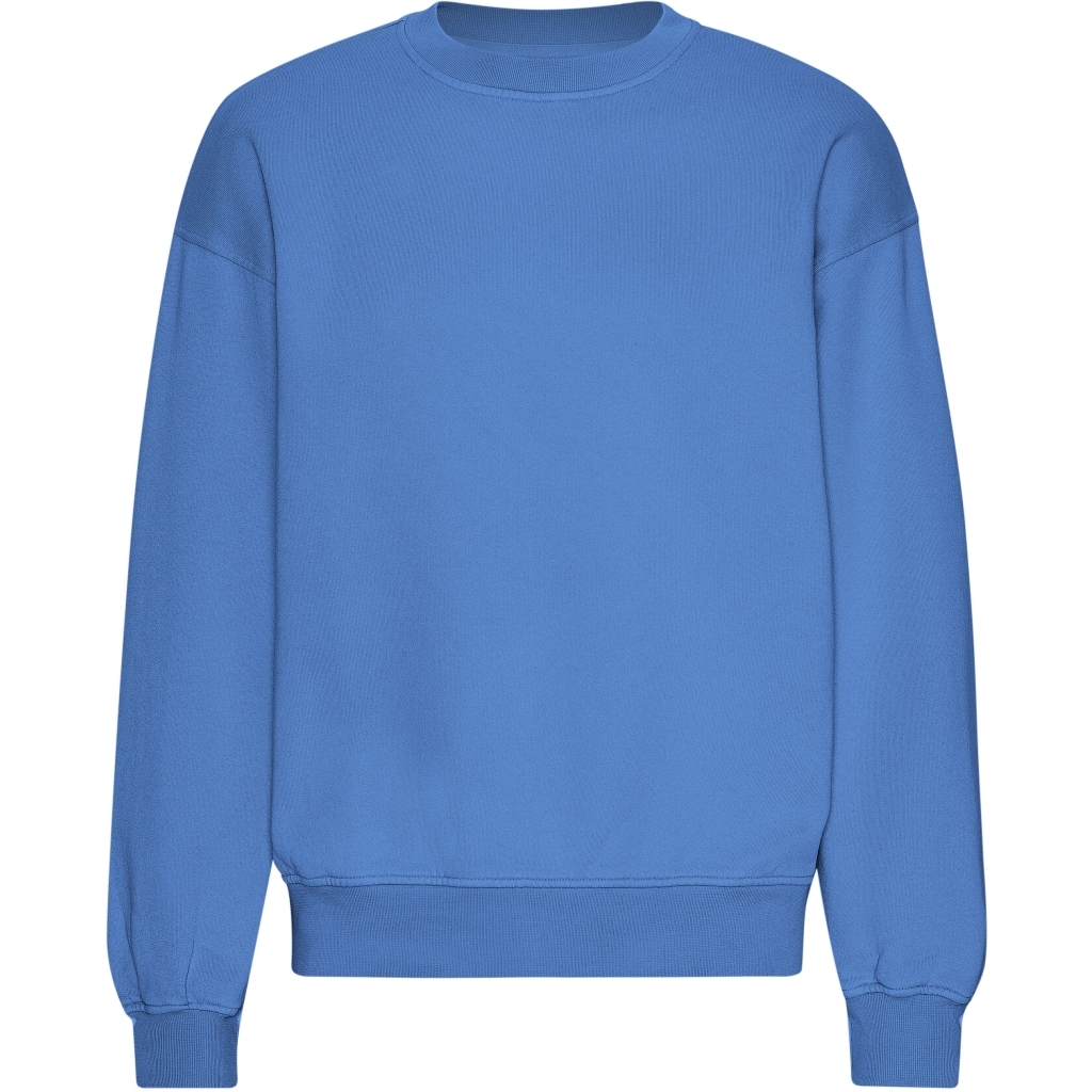 5602991059941 - Oversize-Sweatshirt Organic