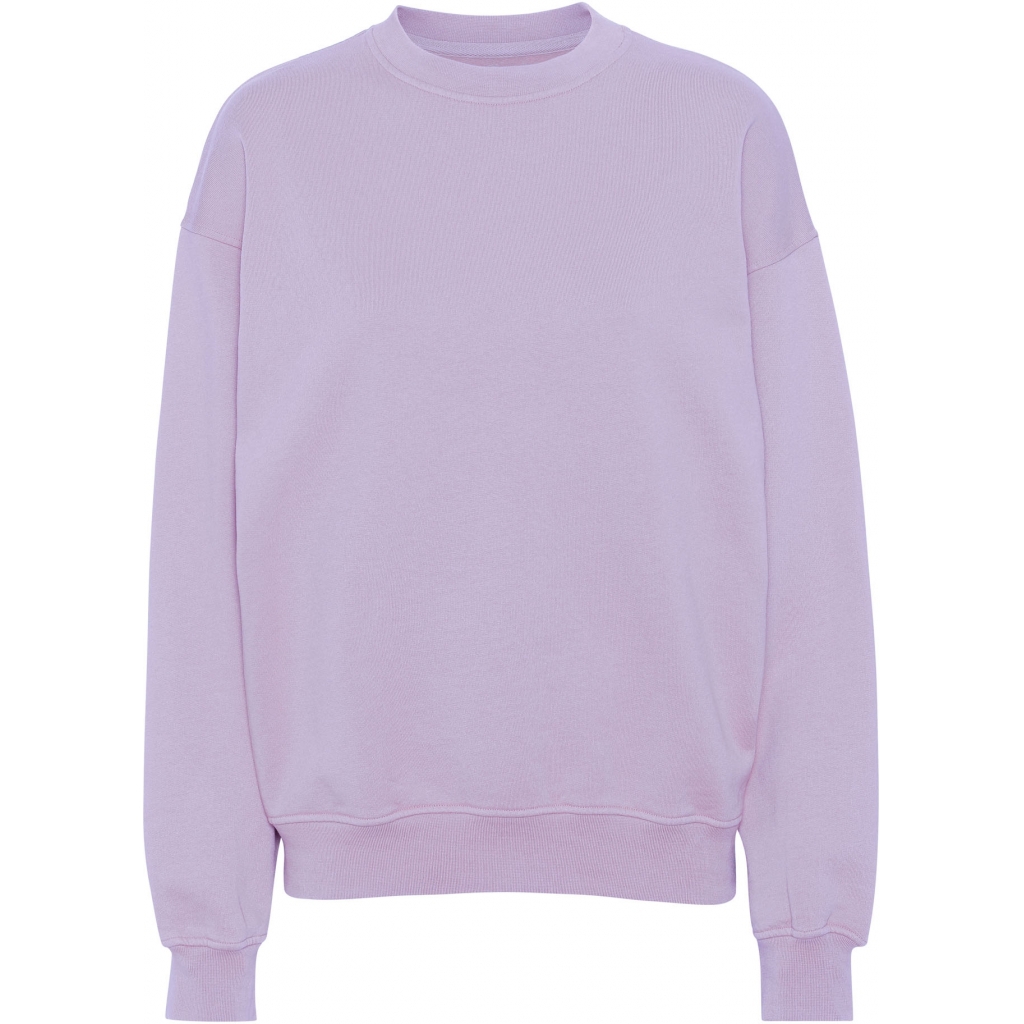 5602991060060 - Sweatshirt mit Rundhalsausschnitt Organic oversized soft lavender