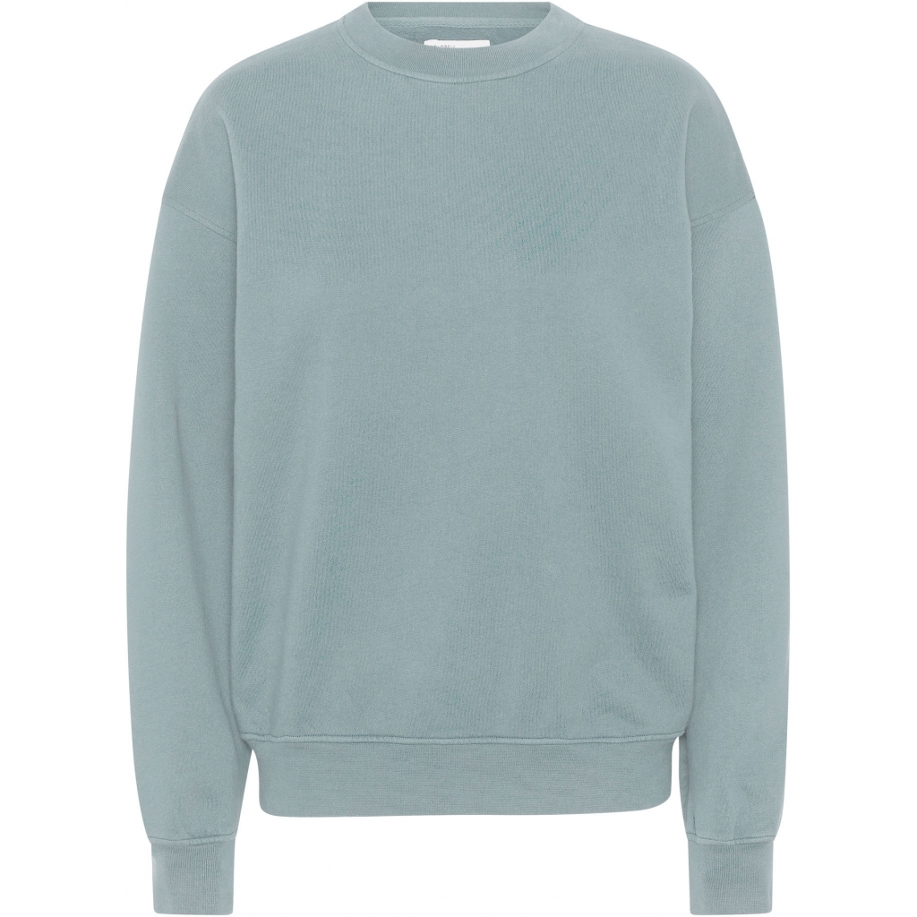 5602991060206 - Sweatshirt mit Rundhalsausschnitt Organic oversized steel blue