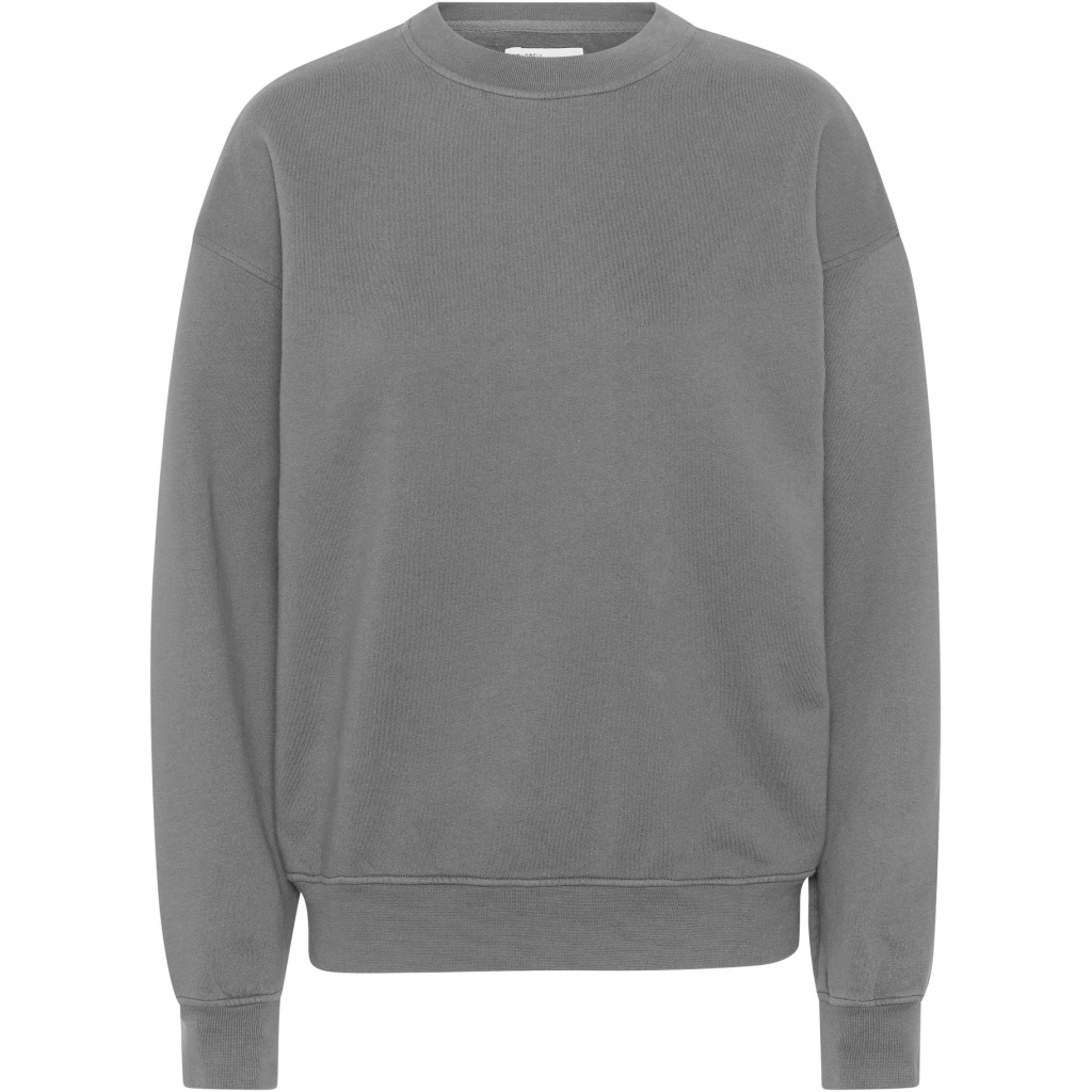 5602991060305 - Sweatshirt mit Rundhalsausschnitt Organic oversized storm grey